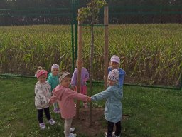 2025-09-18 Przytul się do drzewa